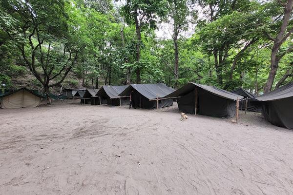 New Year Budget Camping Package